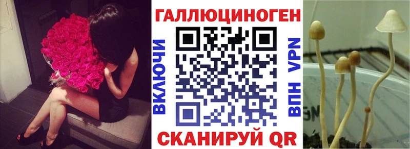 Галлюциногенные грибы мицелий ОМГ ОМГ зеркало Иркутск